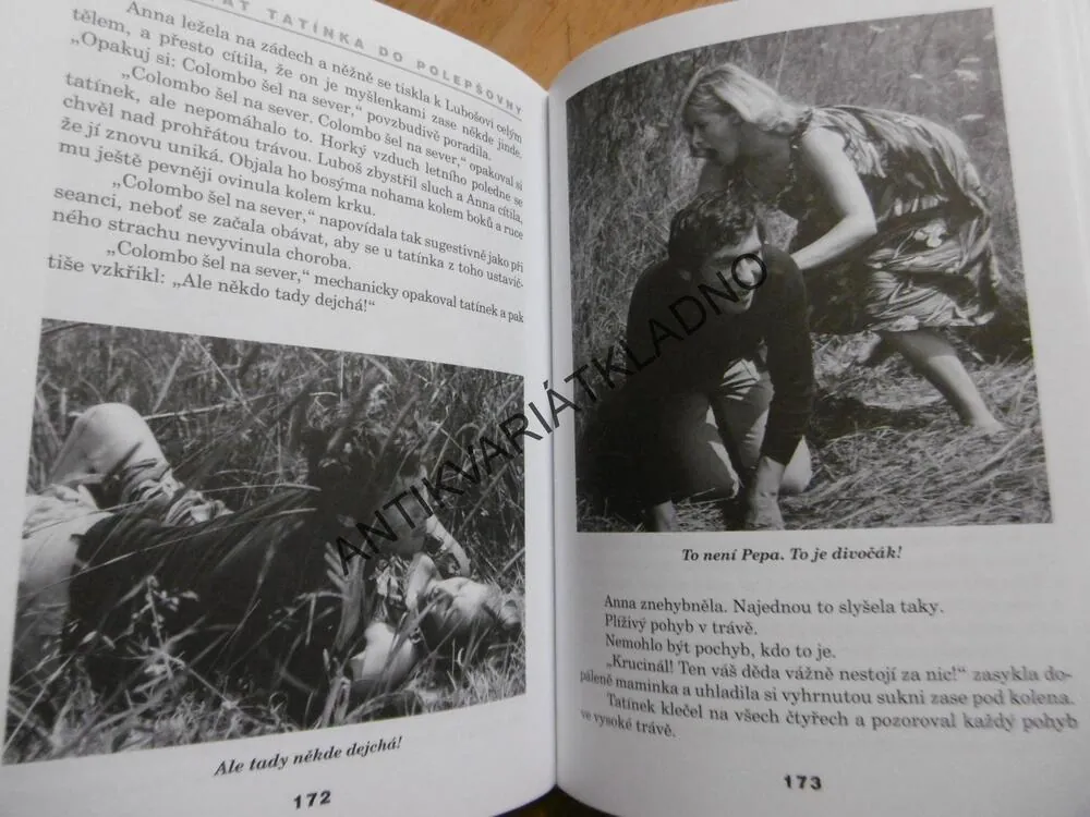 JAK DOSTAT TATÍNKA DO POLEPŠOVNY, MARIE POLEDŇÁKOVÁ, **an