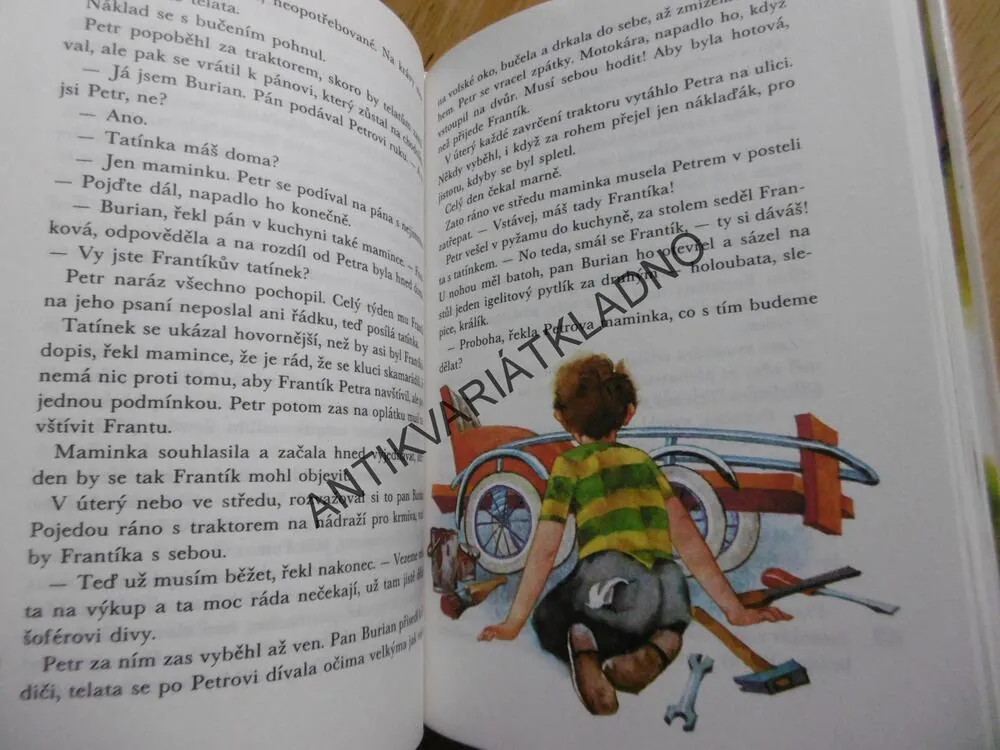 SMĚR ČERVENÝ ÚJEZD, ANNA BLAŽÍČKOVÁ, DISMAN, **an