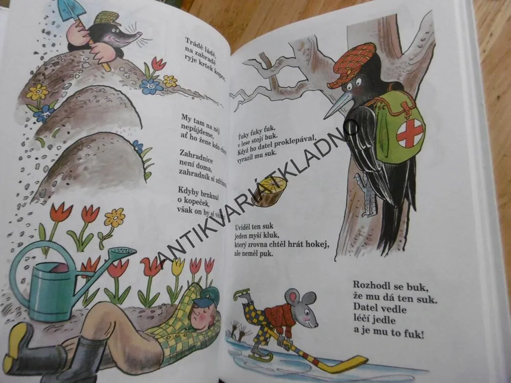 TRNKY BRNKY NA TY HRNKY, ALENA JANOUŠKOVÁ,