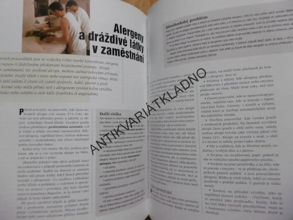 ALERGIE OD A DO Z, PŘÍČINY OBTÍŽÍ, DIAGNOSTIKA, LÉČBA, LINDA GAMLIN, **an