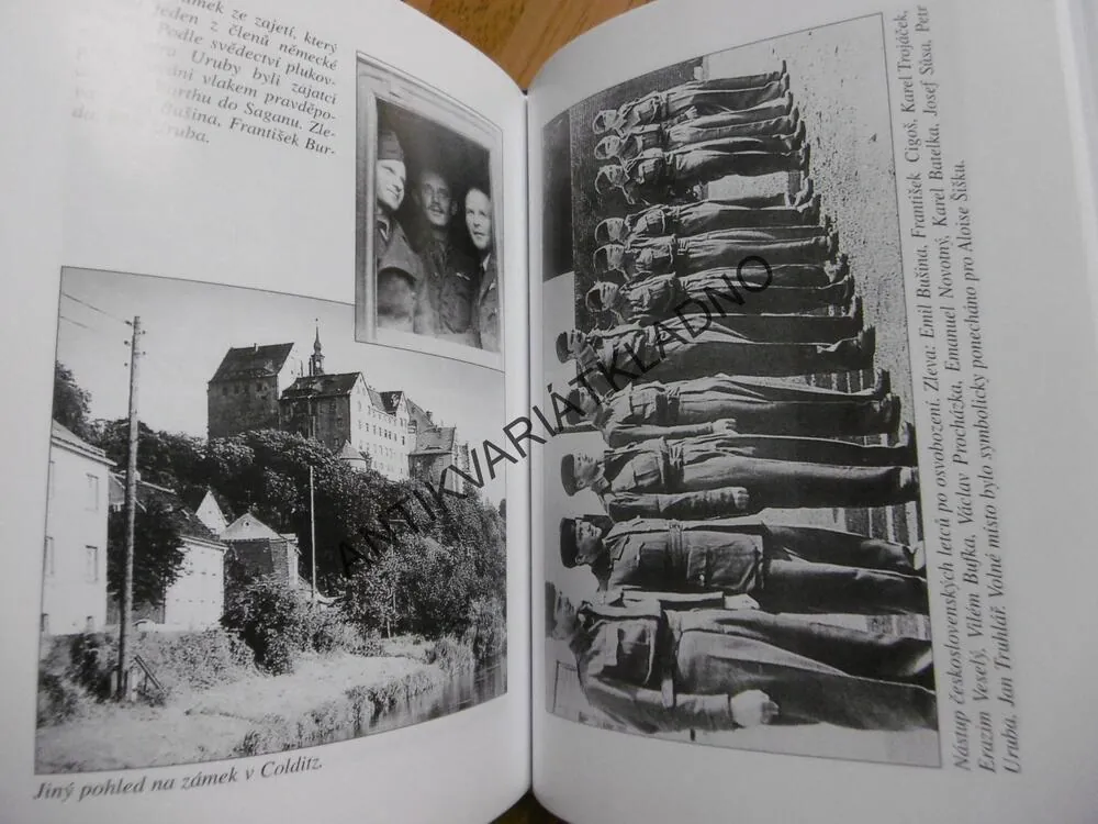 NA TROSKÁCH WELLINGTONU, VÁCLAV KUBEC, 