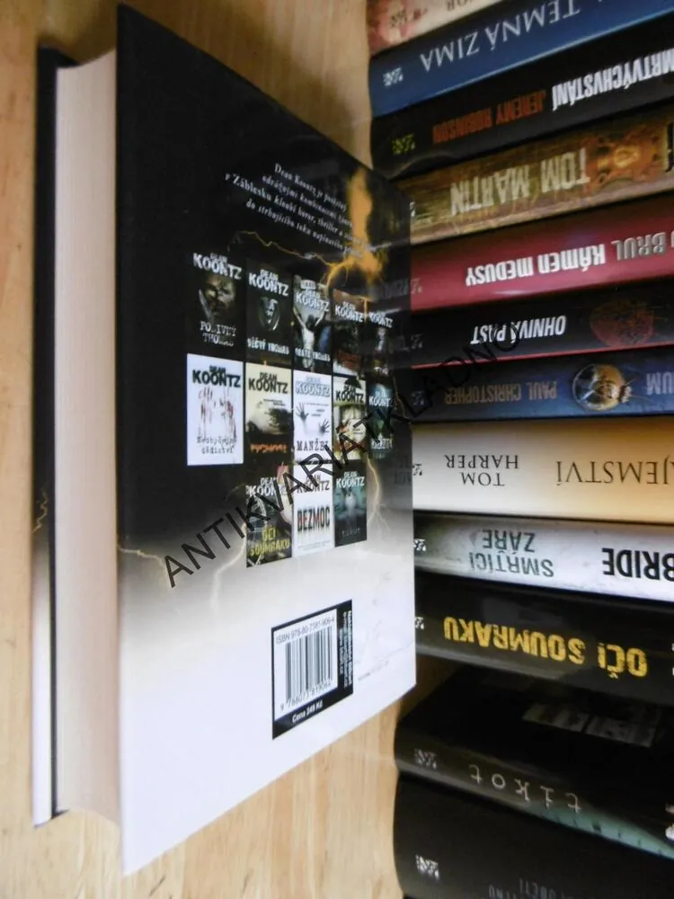 ZÁBLESK, DEAN KOONTZ, **an