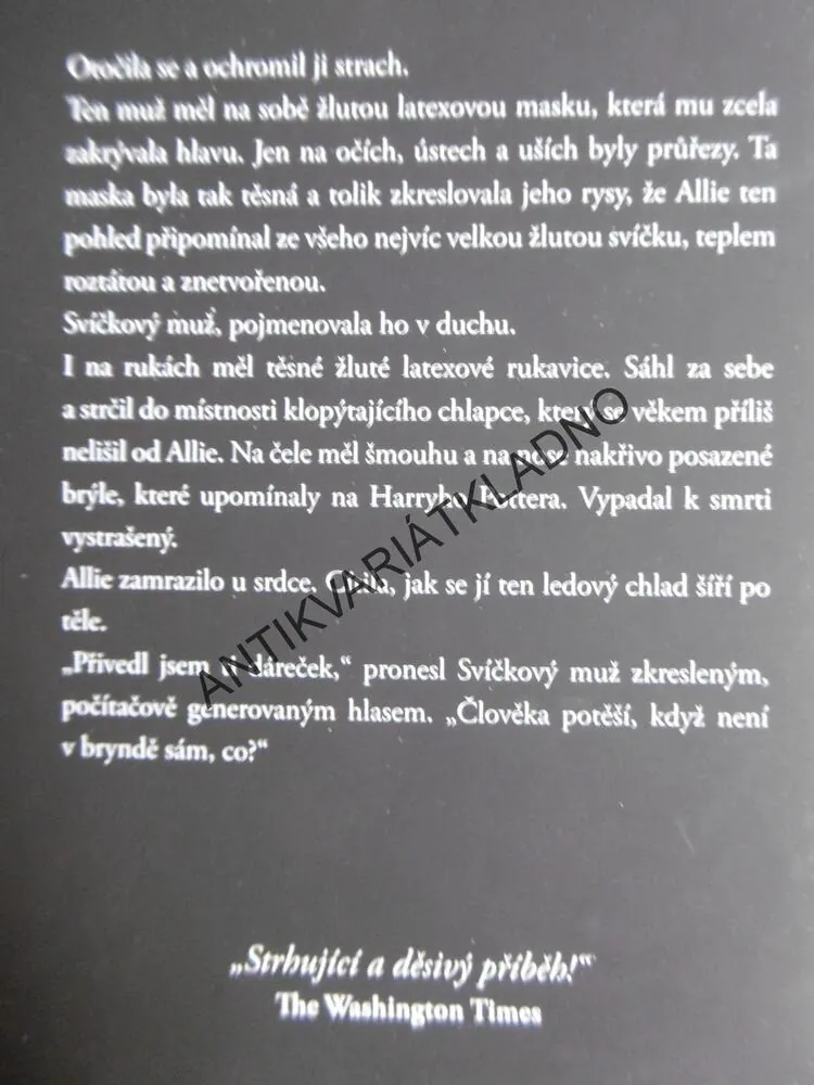 MĚSTO V OHROŽENÍ, STEFANIE PINTOFFOVÁ, **an