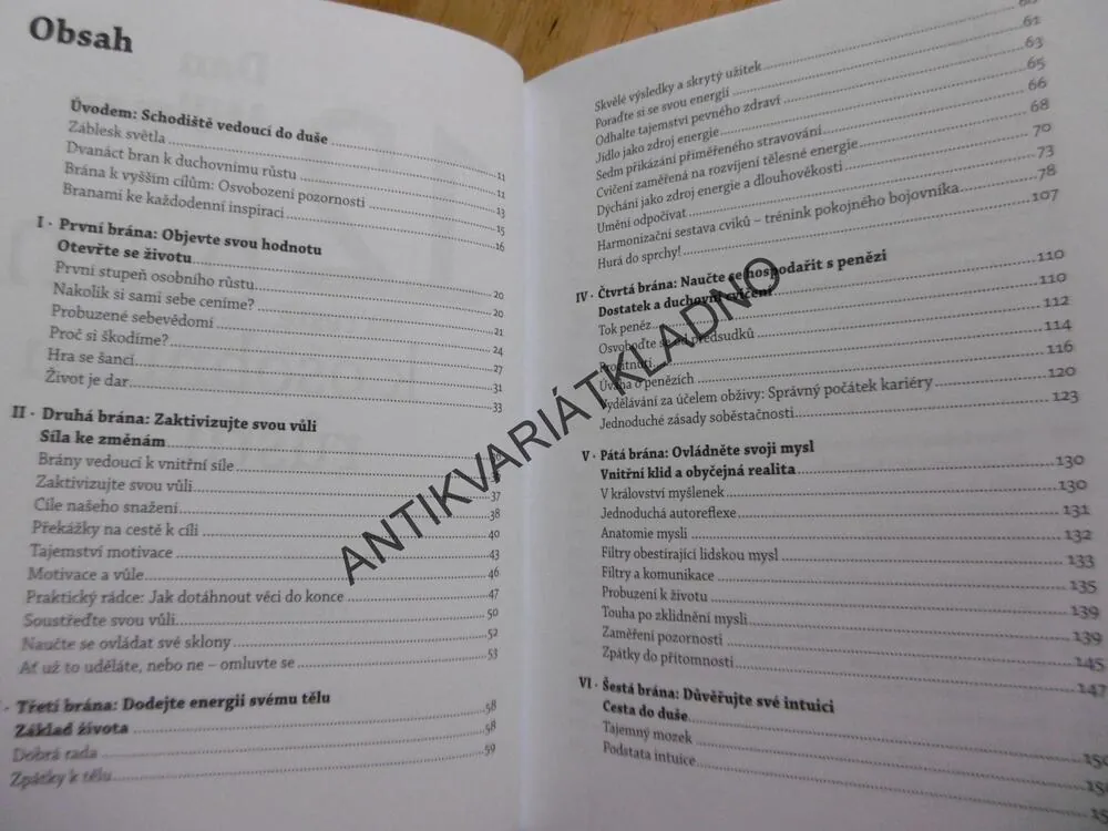 120 BRAN NA CESTĚ K OSOBNÍMU RŮSTU, DAN MILLMAN