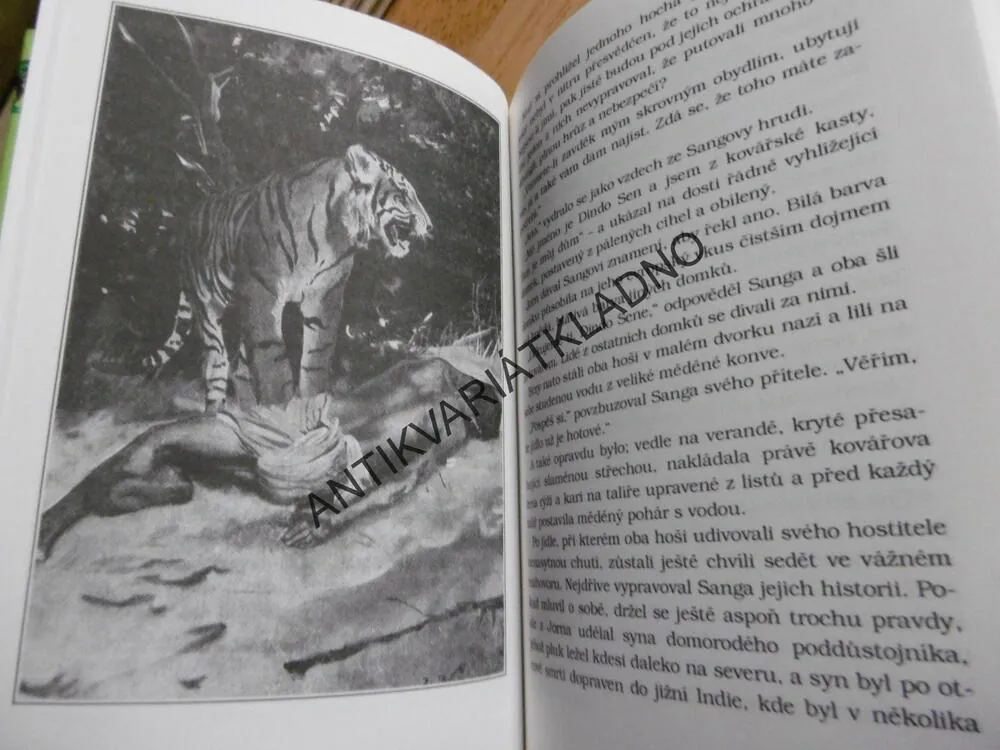 HURA-KURA ZELENÝ NÁRAMEK, TORRY GREDSTED, S PUŠKOU A LASEM