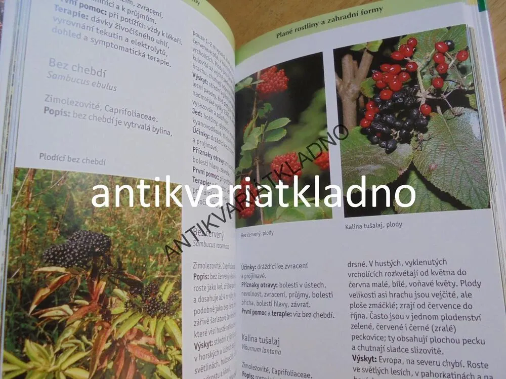 PRŮVODCE PŘÍRODOU- JEDOVATÉ ROSTLINY A ŽIVOČICHOVÉ