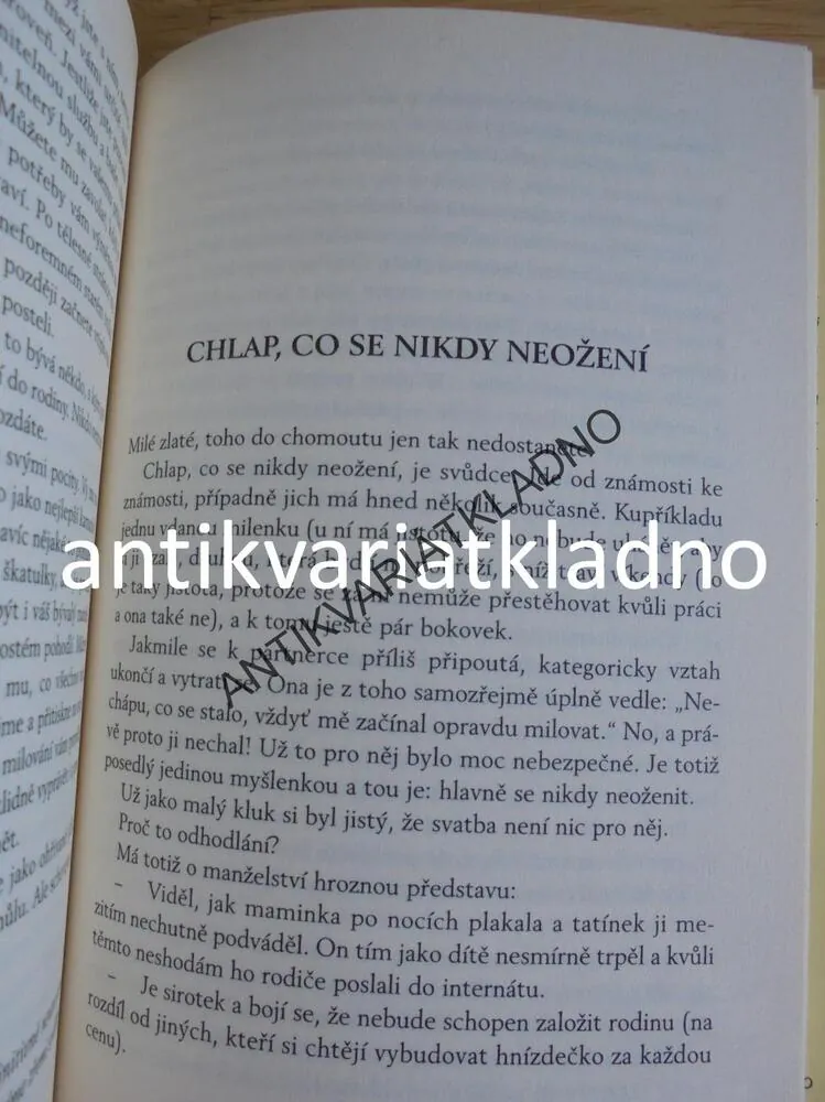 KOHO TO MÁM POD PEŘINOU? 60 TYPŮ MUŽŮ,BRAMLYOVÁ