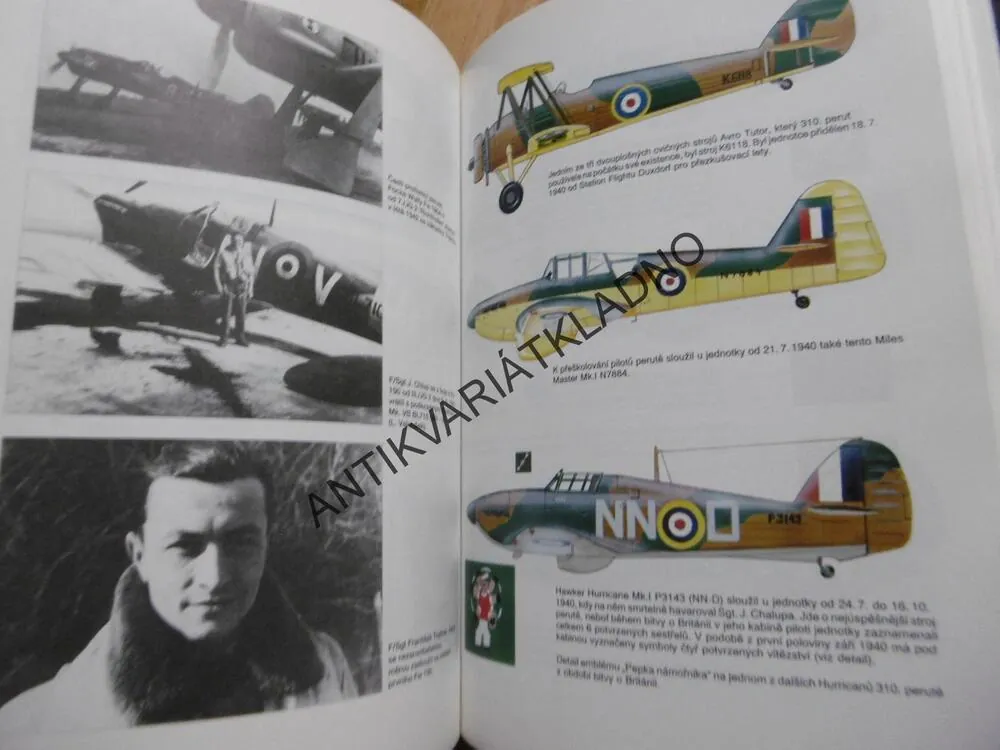 310. STÍHACÍ PERUŤ, JIŘÍ RAJLICH, **an