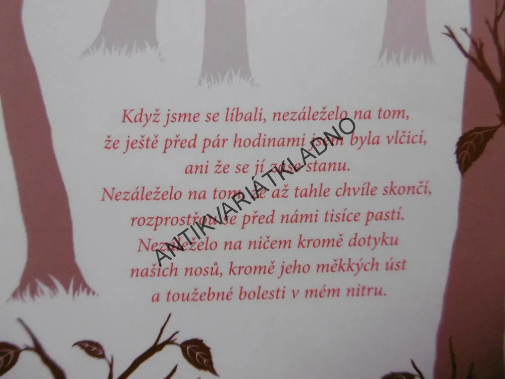 SPLYNUTÍ, MAGGIE STIEFVATEROVÁ