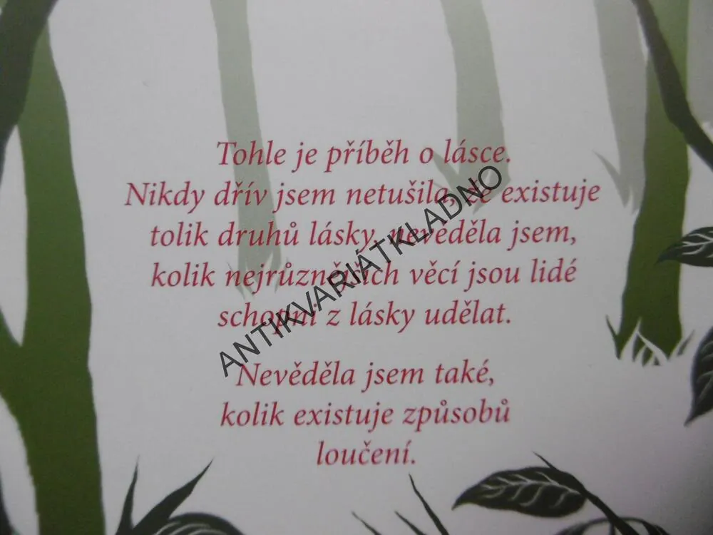 VÁHÁNÍ, MAGGIE STIEFVATEROVÁ