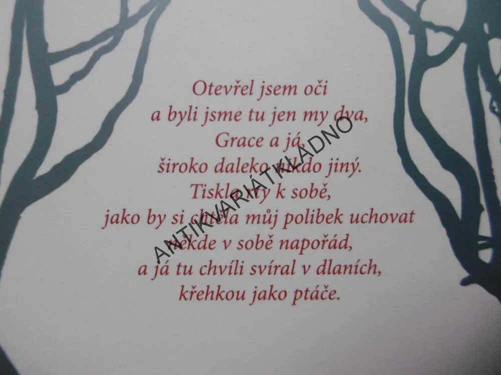 MRAZENÍ, MAGGIE STIEFVATEROVÁ