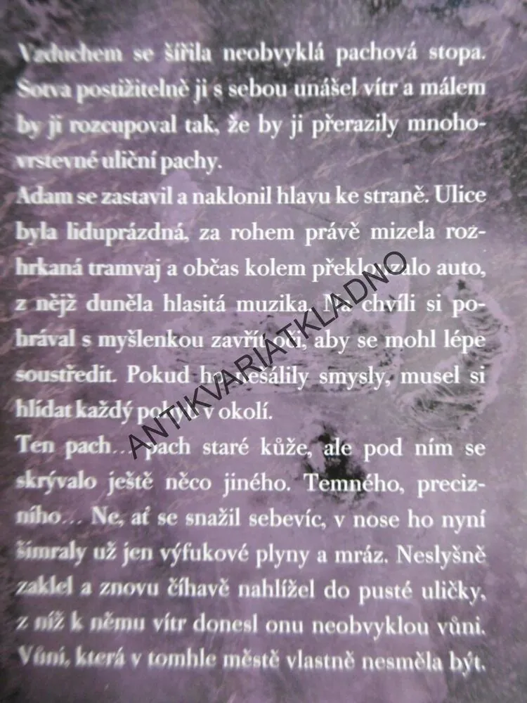 RANNÍ ČERVÁNKY, TANJA HEITMANN, **an
