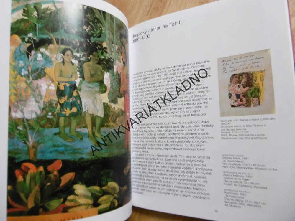 GAUGUIN, ČESKÁ VERZE TASCHEN