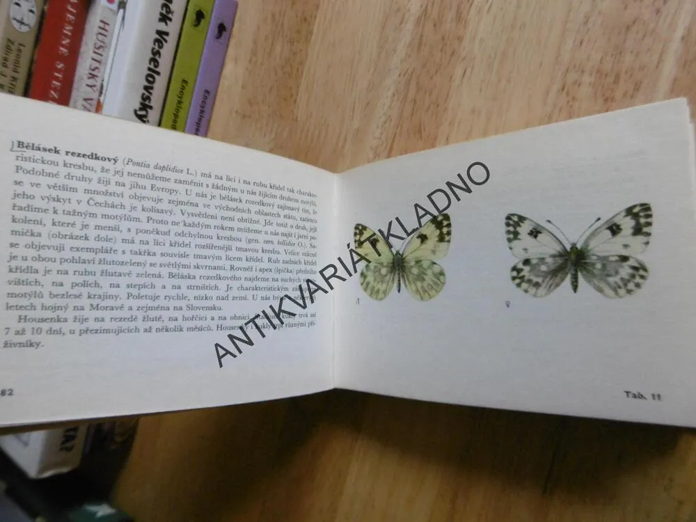 NAŠI DENNÍ MOTÝLI, MOUCHA,CHOC, EDICE OKO 35, **an