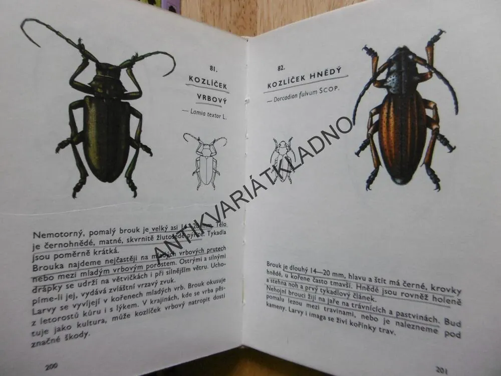 KAPESNÍ ATLAS BROUKŮ, S URČOVACÍM KLÍČEM, 1968, JAVOREK, **an
