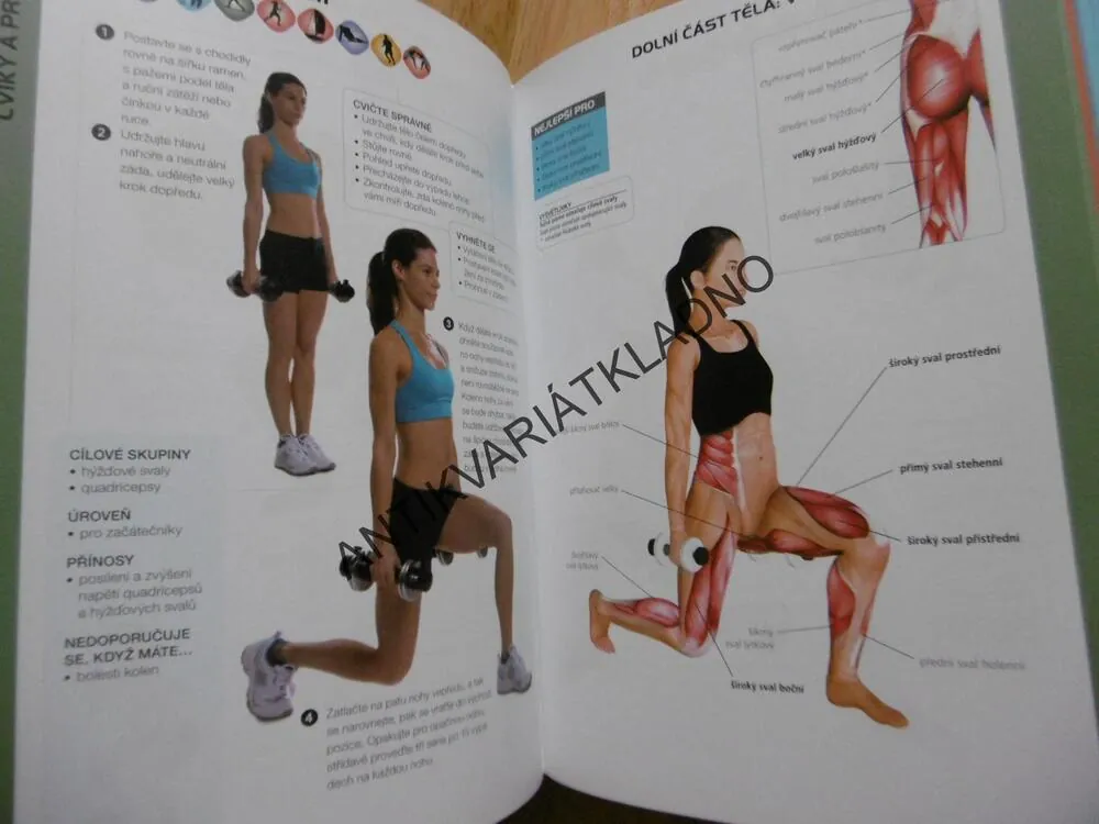 ENCYKLOPEDIE POSILOVÁNÍ,ANATOMIE,45 SPORTŮ,  LIEBMAN