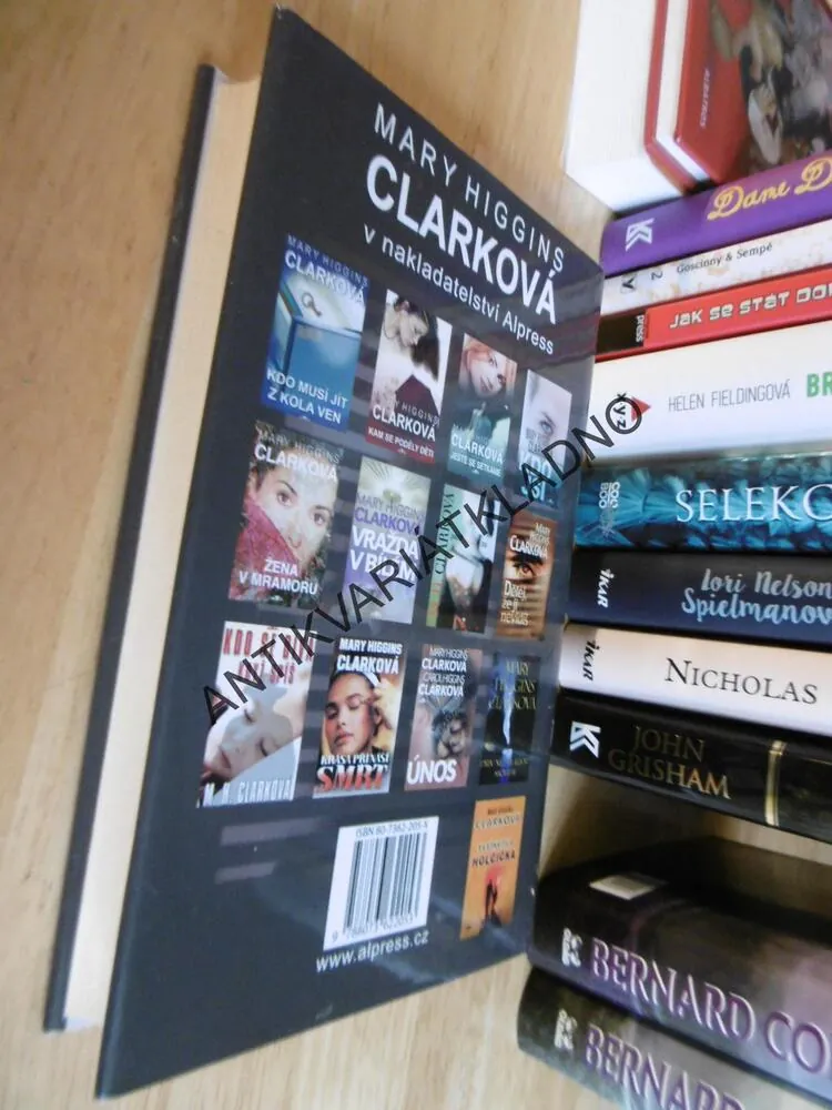 NEZNÁMÝ V POZADÍ, MARY HIGGINS CLARKOVÁ, **an