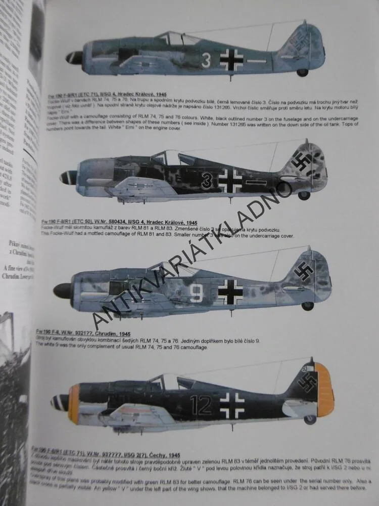 FOCKE-WULF FW 190 F,G