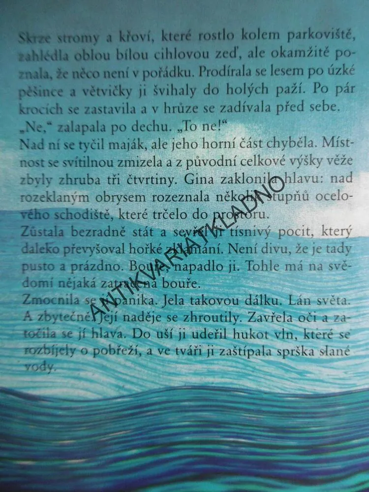 SVĚTLO POD HLADINOU, DIANE CHAMBERLAINOVÁ, **an