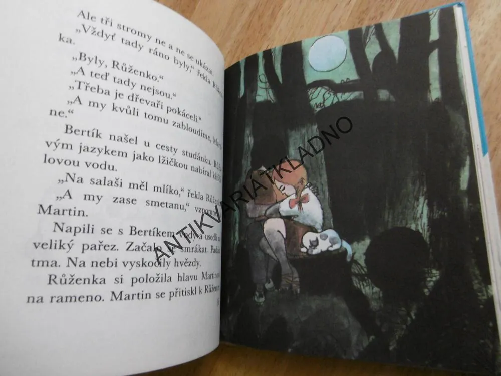 MARTIN V RÁJI, JAN RYSKA, MLČOCH, 1991