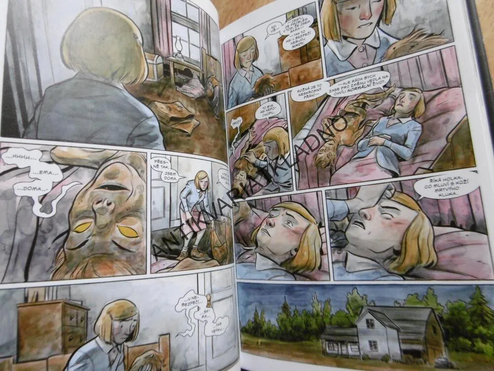 POCHMURNÝ KRAJ, ZRCADLENÍ, CULLEN BUNN, TYLER CROOK, KOMIKS