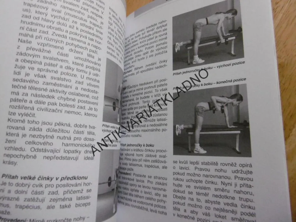KULTURISTIKA PRO ŽENY, FORMOVÁNÍ POSTAVY SVALOVÝM TRÉNINKEM, WANGHOFER