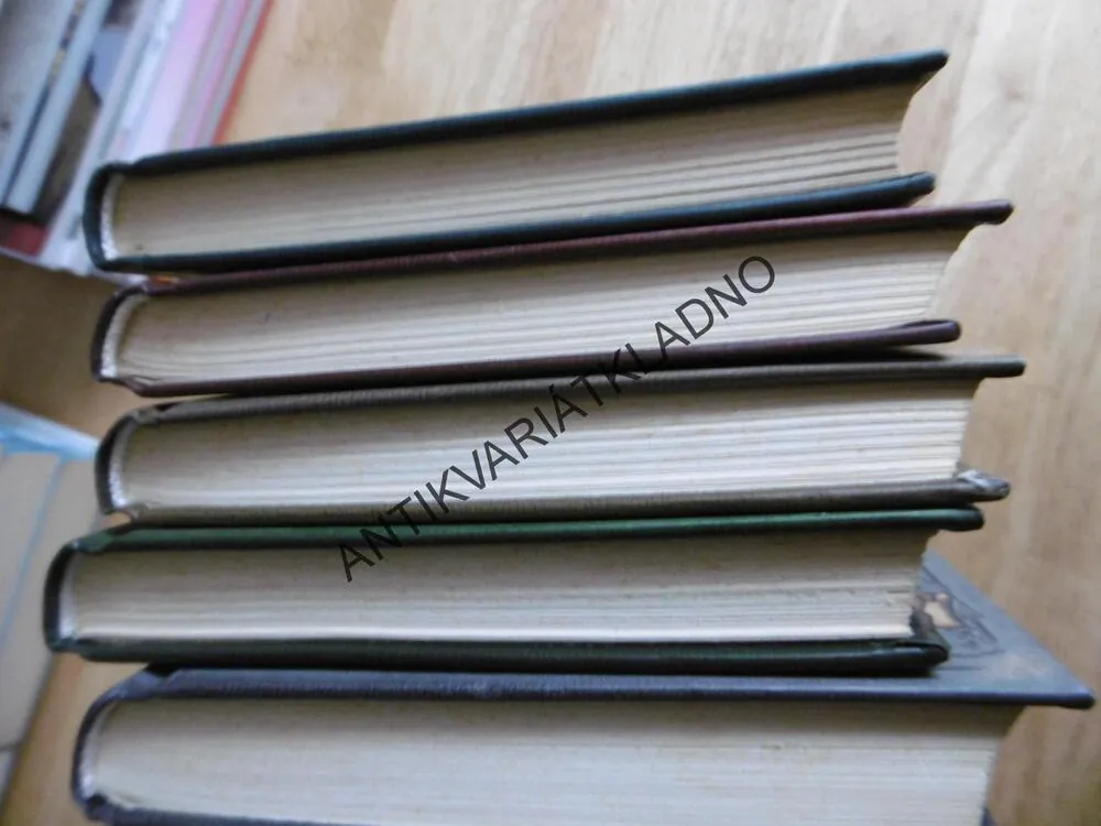 KRONIKA RODU SPIDERWICKŮ, 1-5, DITERLIZZI, HOLLY BLACKOVÁ, **an