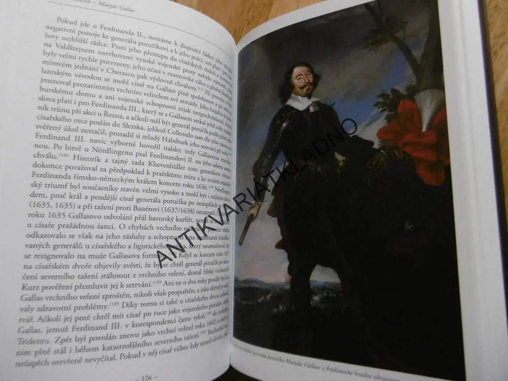MATYÁŠ GALLAS, 1588-1647, CÍSAŘSKÝ GENERÁL A VALDŠTEJNŮV DĚDIC, ROBERT REBITSCH