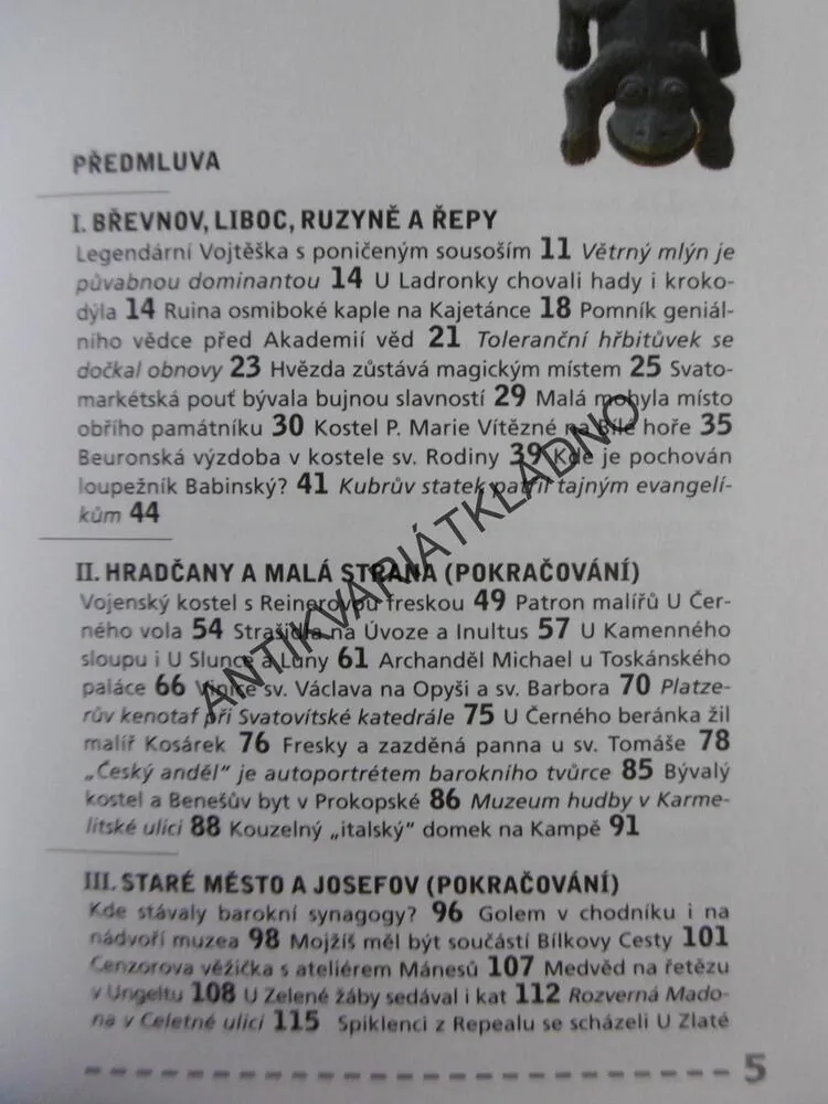 PRAHOU S OTEVŘENÝMA OČIMA,3., IVANA MUDROVÁ,