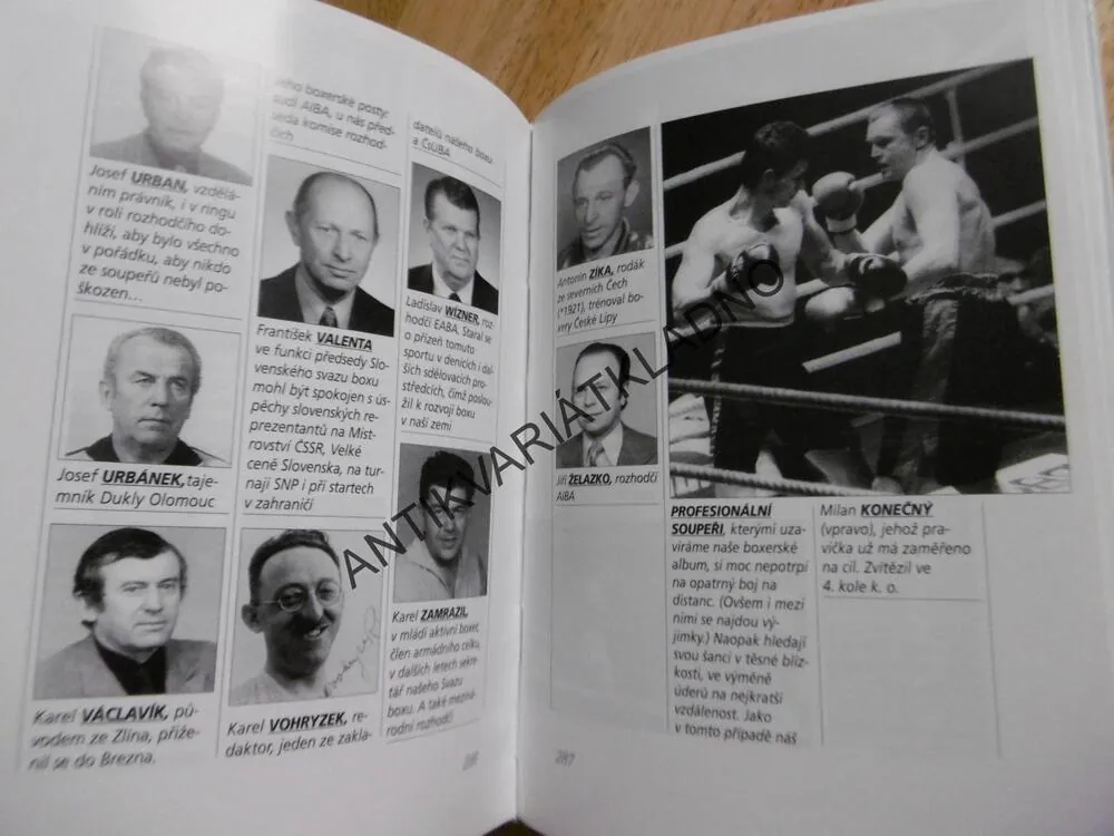 ZLATÉ RUKAVICE,ČERNOCH, HÁJEK, KALÁT,SPORT BOX, 