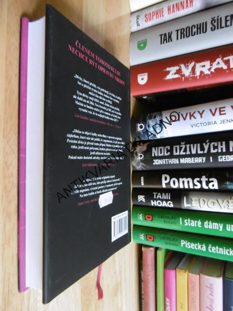 POSLEDNÍ DÍVKA, RILEY SAGER, **an