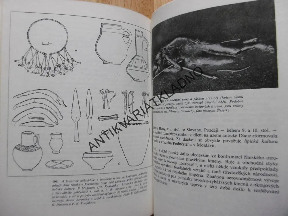 DĚJINY PRAVĚKÉ EVROPY, BUCHVALDEK, **an