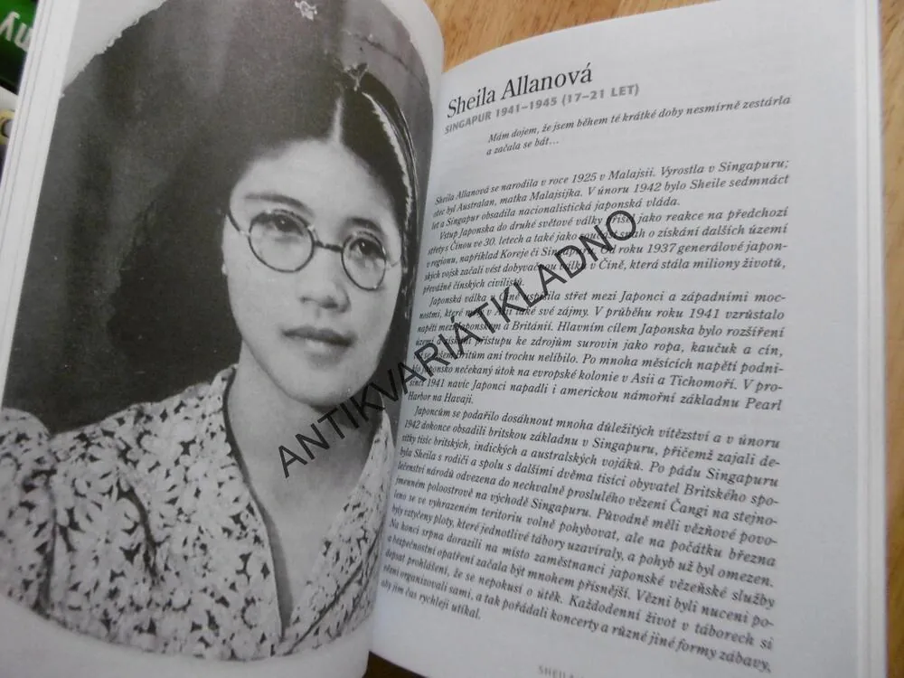 UMLČENÉ HLASY, DĚTSKÉ VÁLEČNÉ DENÍKY OD 1.SVĚTOVÉ VÁLKY PO IRÁK, **an