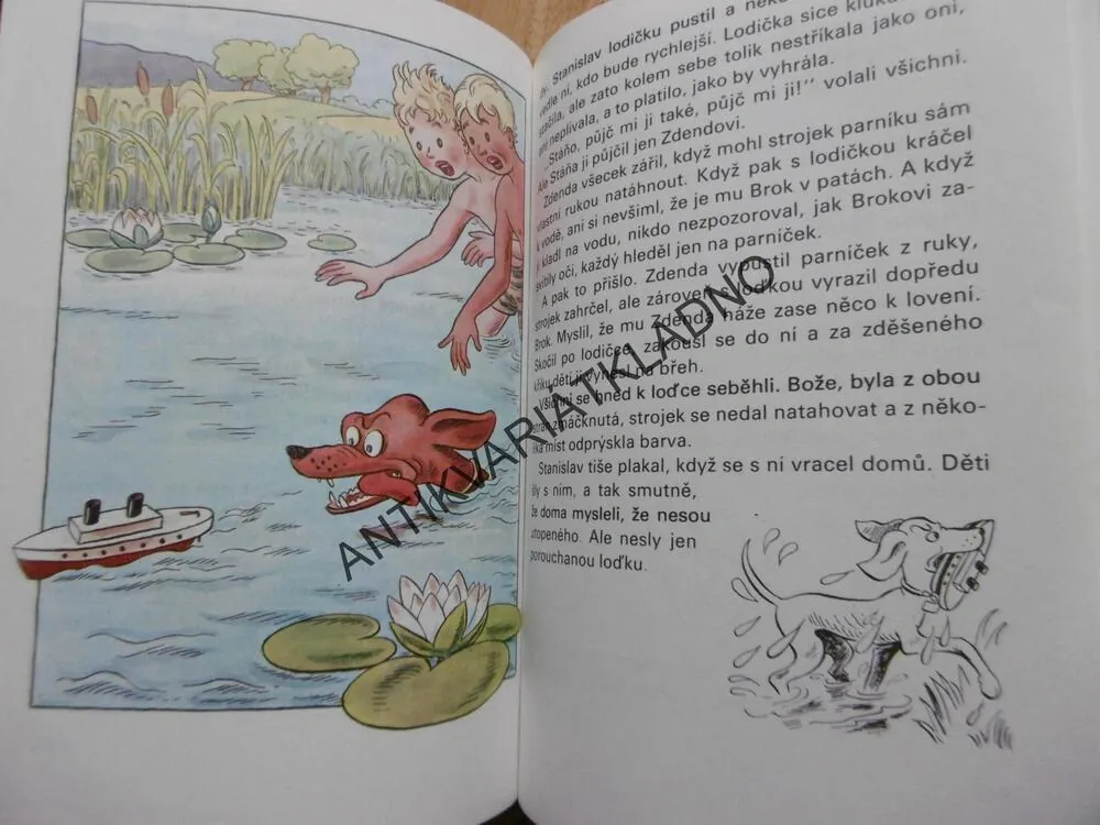 KUŘE NAPIPI A JEHO PŘÁTELÉ, SEKORA, 1973, **an