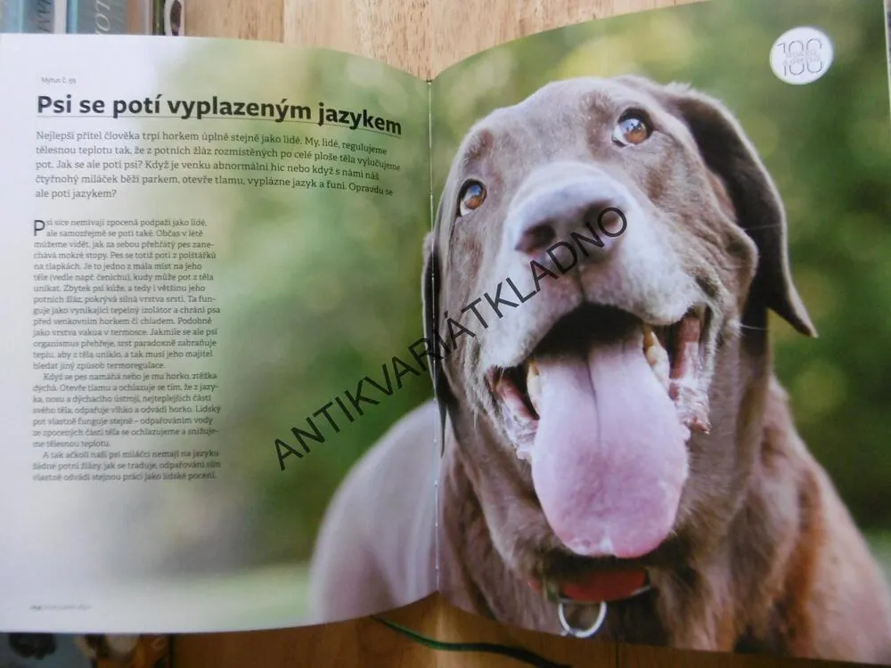 100 HOAXŮ A OMYLŮ, KTERÉ NAPÁLILY VĚDCE,