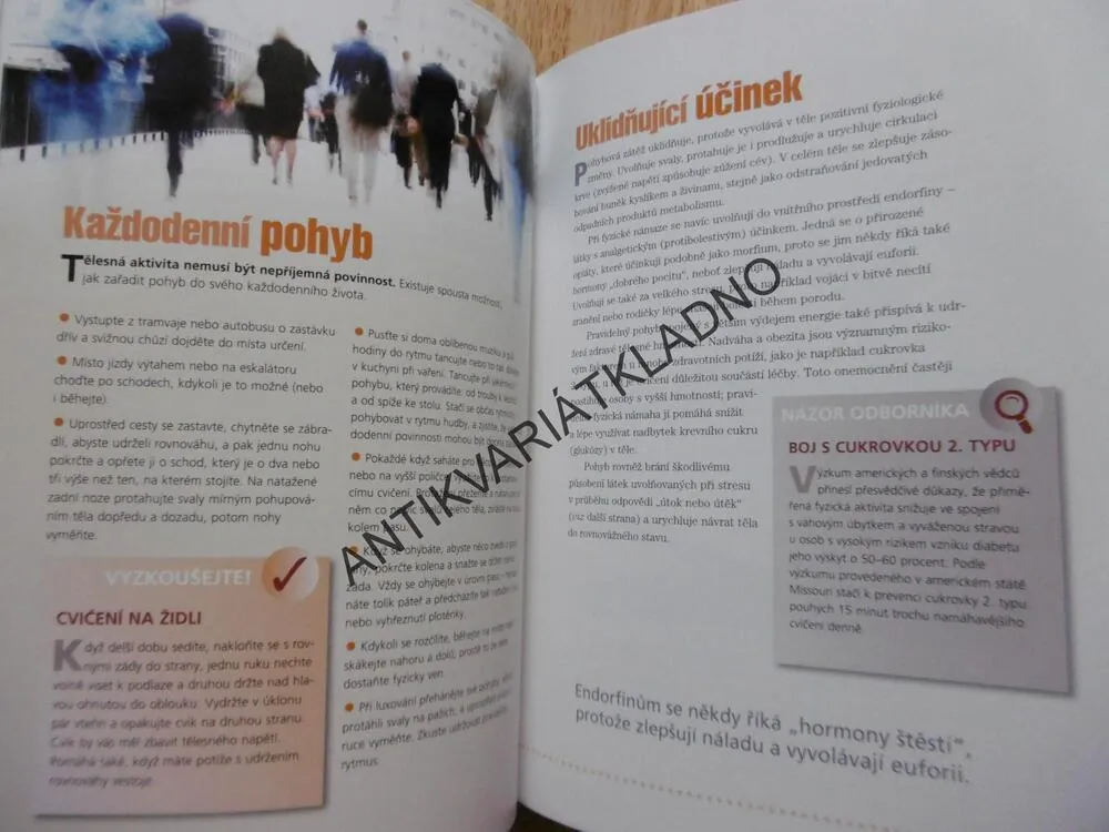 JAK PŘEKONAT STRES, STOVKY DŮMYSLNÝCH ZPŮSOBŮ, JAK SE CHRÁNIT PŘED STRESEM A NAPĚTÍM, **an