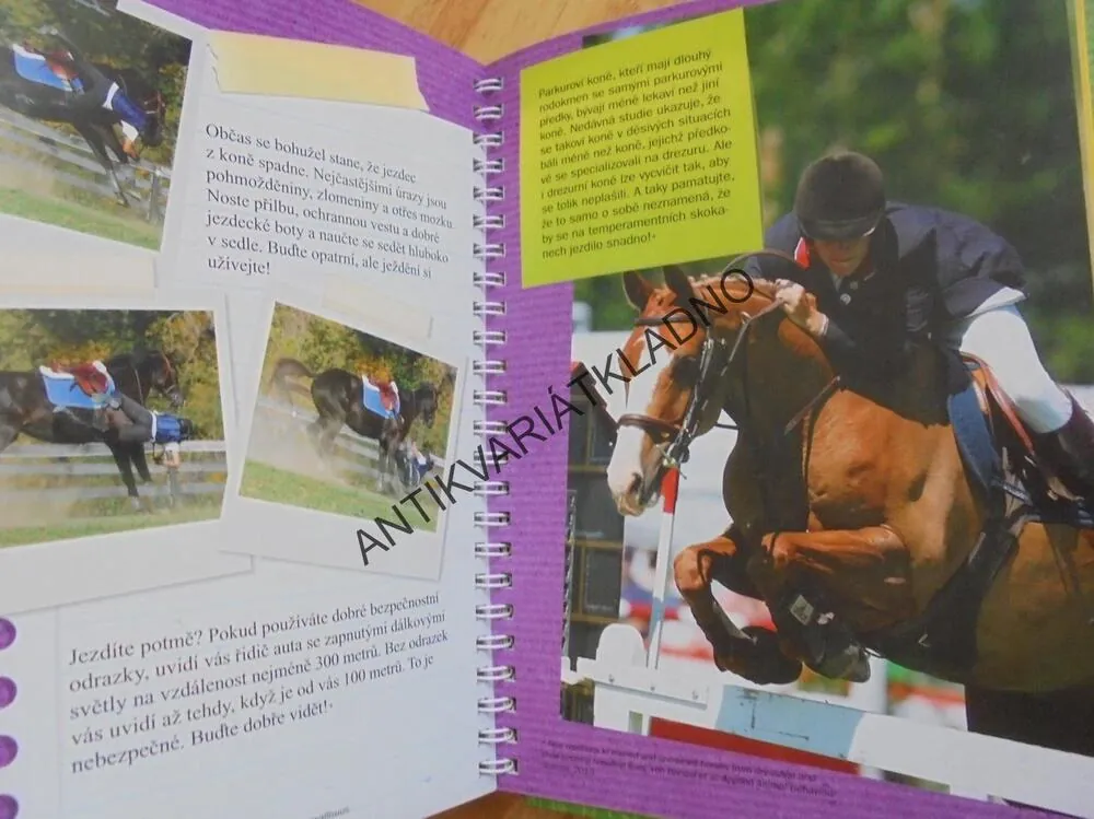 VŠECHNO CO JSTE CHTĚL VĚDĚT- JEZDECTVÍ, KŮŇ, KONĚ