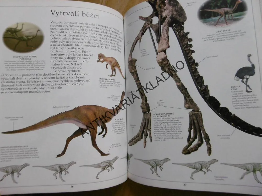 DINOSAUŘI, VIDĚT, POZNAT, VĚDĚT, **an