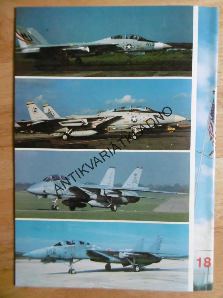 F-14, STÍHAČKA, LETADLO, POLSKY