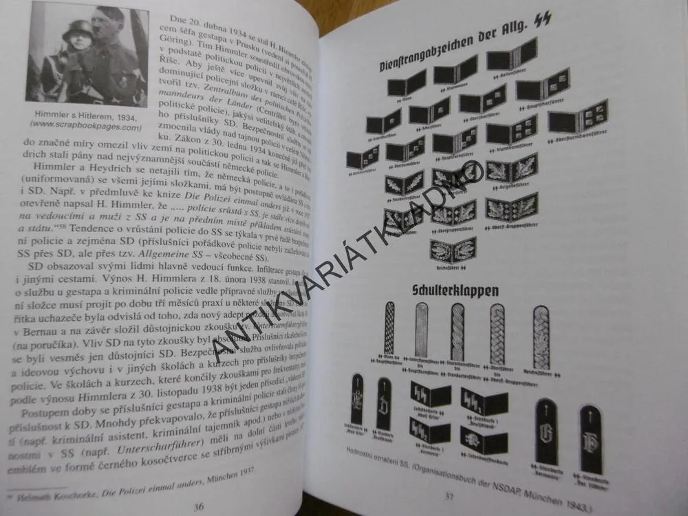 MÁLO ZNÁMÉ ZLOČINY, SD VE VÝCHODNÍCH ČECHÁCH, GRUNTOVÁ, VAŠEK,