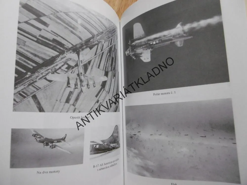 WING DING, PAMĚTI ZADNÍHO STŘELCE, LT.COL.EUGENE T.CARSON USA