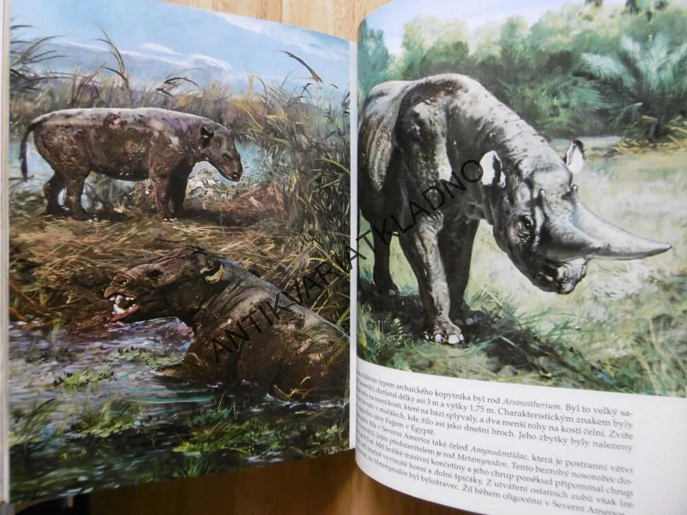 VELKÁ KNIHA O PRAVĚKU, ŠPINAR, ZDENĚK BURIAN, **an