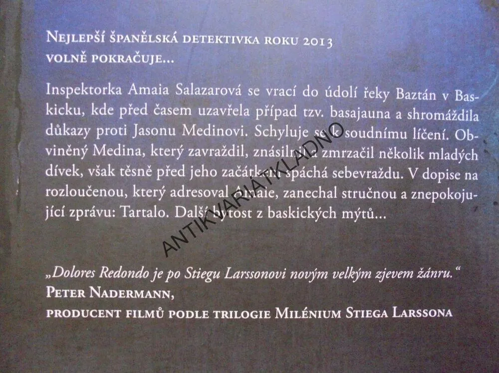 DĚDICTVÍ KOSTÍ, DOLORES REDONDO
