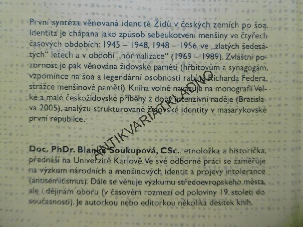 ŽIDÉ V ČESKÝCH ZEMÍCH PO ŠOA, IDENTITA PORANĚNÉ PAMĚTI, SOUKUPOVÁ