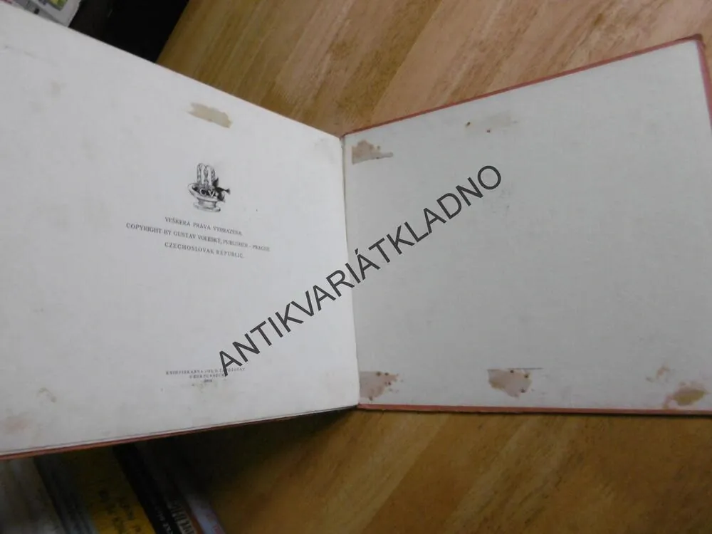 DIVÍK Z LESŮ, VOLESKÁ, ARTUŠ SCHEINER