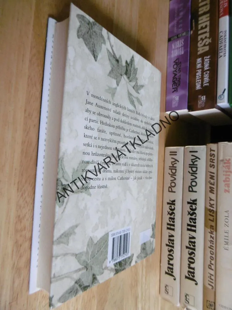 OPATSTVÍ NORTHANGER, JANE AUSTENOVÁ
