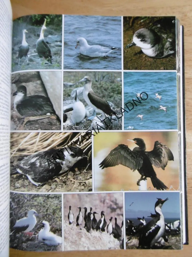 ATLAS PTÁKŮ SVĚTA, VÍCE NĚŽ 1300 FOTOGRAFIÍ, A. GOSLER