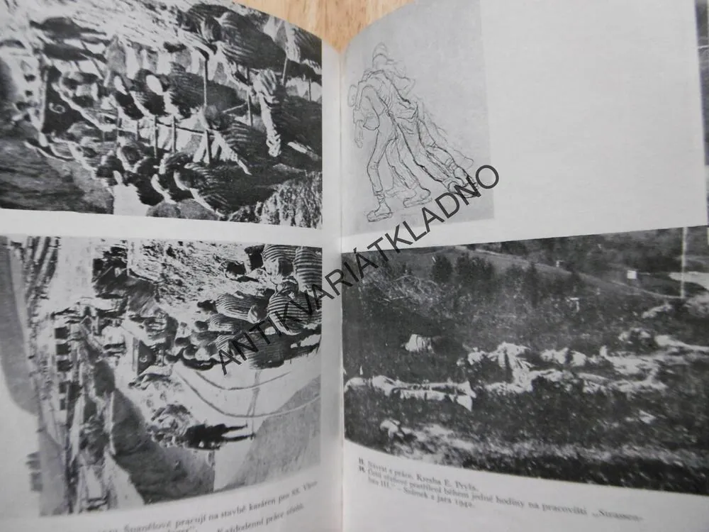 MAUTHAUSEN, VÁCLAV BERDYCH, HISTORIE ODBOJE VĚZŇŮ V KONCENTRAČNÍM TÁBOŘE
