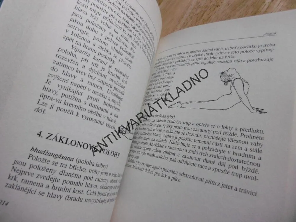 JÓGA A ÁJURVÉDA, LÉČENÍ TĚLA I DUCHA, DAVID FRAWLEY