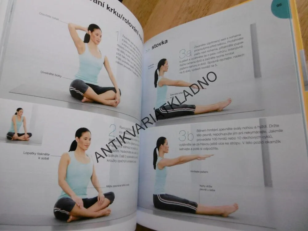 PILATES 15 MINUT DENNĚ, CVIKY PRO VŠECHNY ÚROVNĚ ZDATNOSTI, SPORT,CVIČENÍ+ DVD